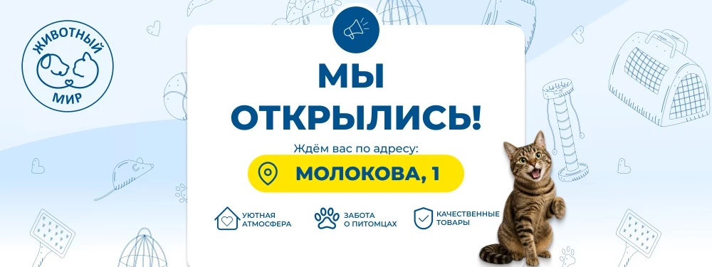 Добро пожаловать в «ЖИВОТНЫЙ МИР» — новый зоомагазин в Красноярске!